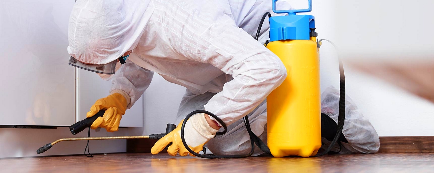 Дезінфекція